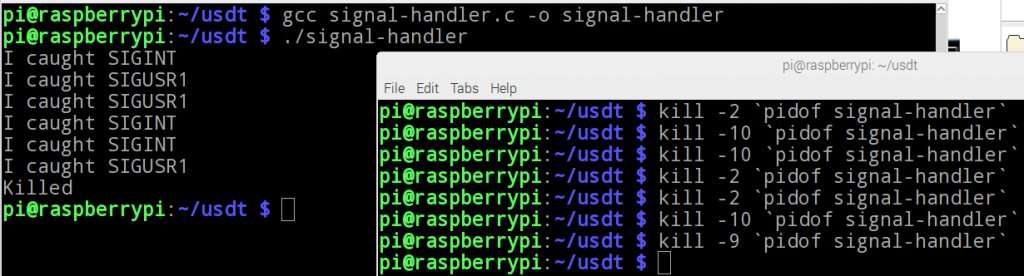 Catching SIGINT and SIGUSR1